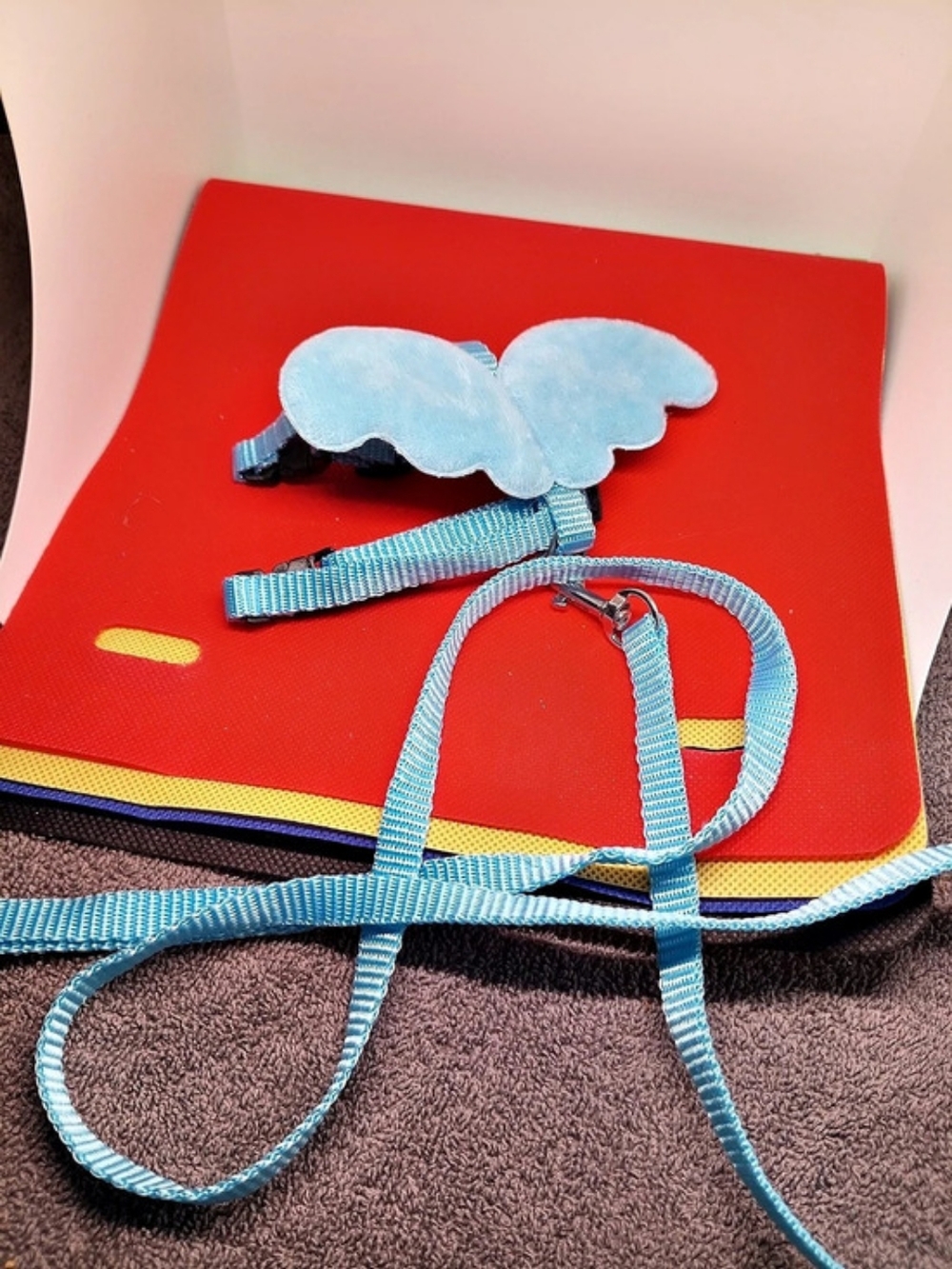 Blue Dog Collar and Leash